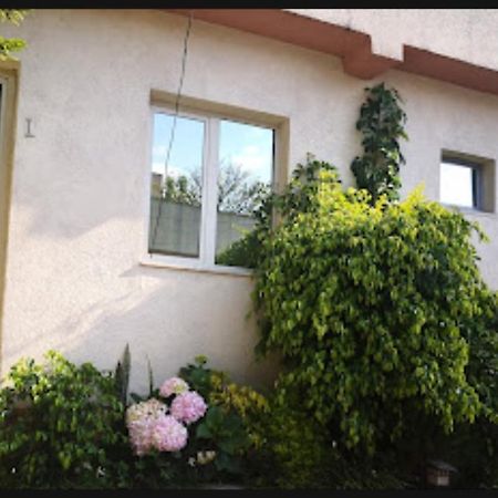Konjo Guest House Addis Ababa Dış mekan fotoğraf