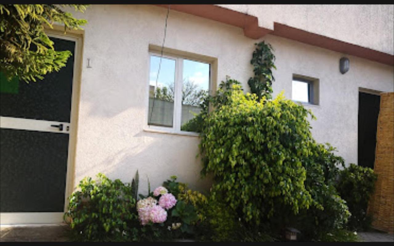 Konjo Guest House Addis Ababa Dış mekan fotoğraf